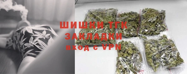 ECSTASY Бородино